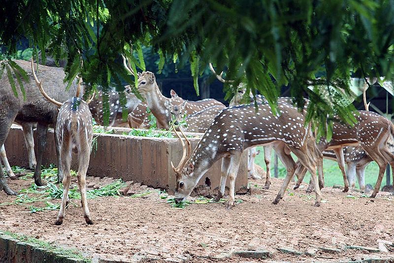 Dhaka_Zoo