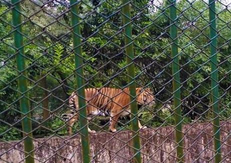 Dhaka Zoo Holiday