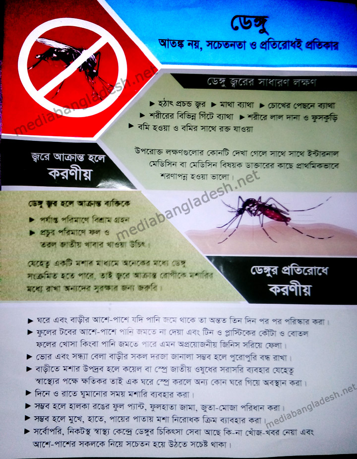 Dengue Fever - Symptom - Treatment